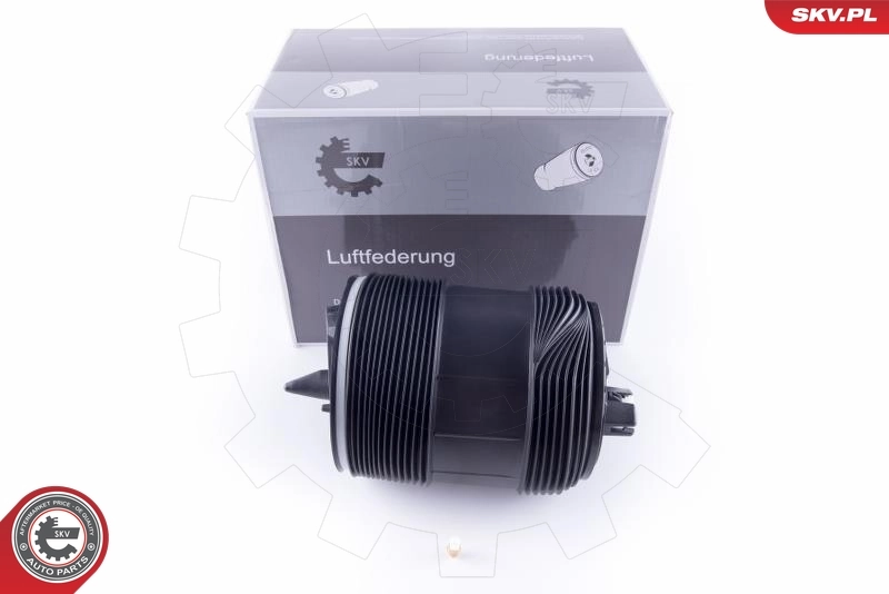 Air Spring, suspension